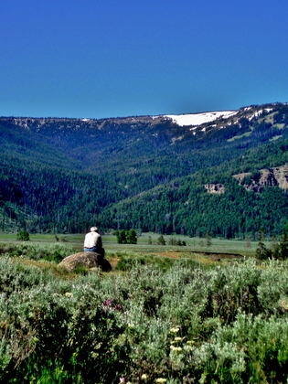 Yellowstone National Park