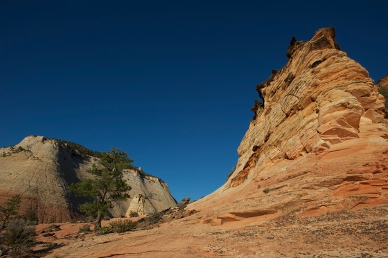 Zion National Park