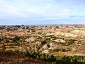 Theodore Roosevelt National Park 
