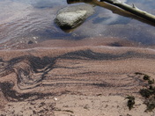 Patterns in the Sand