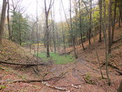 Dundas Valley Autumn