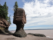 Hopewell Rocks