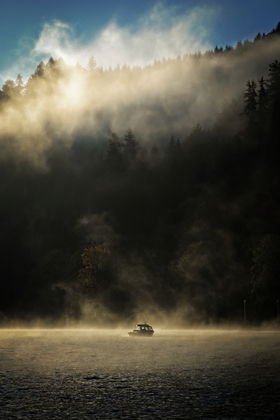 Siuslaw National Forest