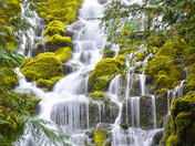 Willamette National Forest
