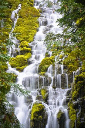 Willamette National Forest