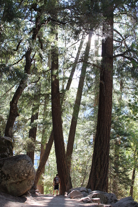 Yosemite National Park