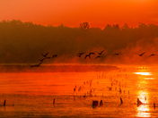  Muscatatuck.National Wildlife Refuge 