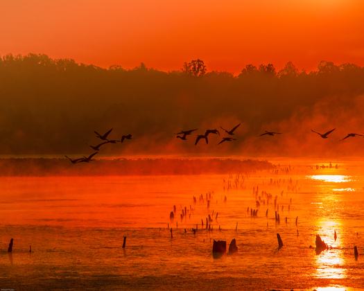  Muscatatuck.National Wildlife Refuge 
