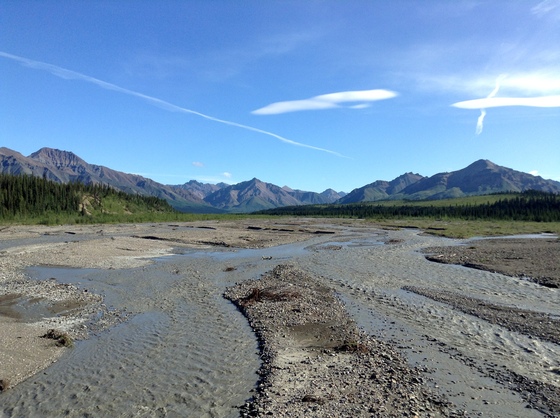 Denali National Park