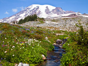 Mount Rainier National Park