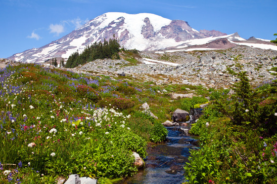 Mount Rainier National Park