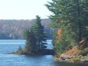 Windswept Pines on Maple Lake Orrville