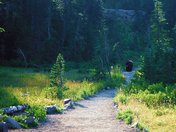 Mt. Rainier