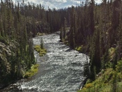 YELLOWSTONE