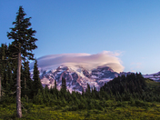 Mt. Rainier