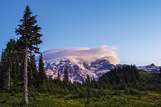 Mt. Rainier
