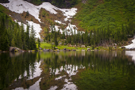 Mt. Baker-Snoqualmie National Forest