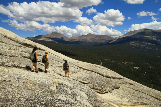 Yosemite National Park
