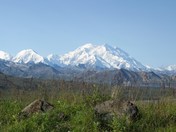 Denali National Park