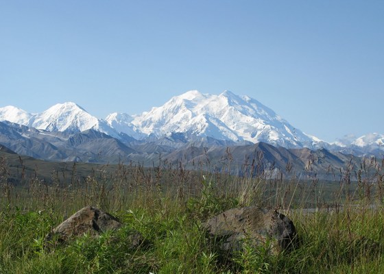 Denali National Park