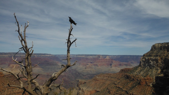 Grand Canyon