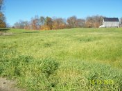 Autumn off Duck lake Orrville