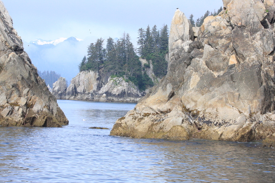 Kenai Fjords National Park