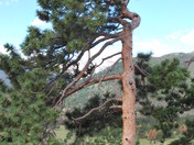 Rocky Mountain National Park
