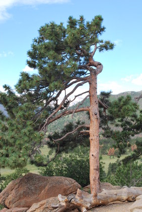 Rocky Mountain National Park