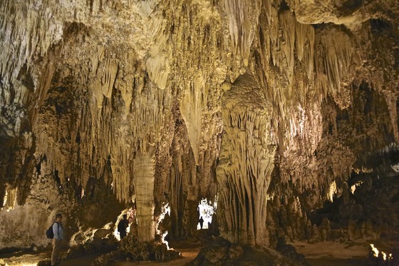 carlsbad caverns national park