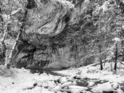 Cocnino National Forest