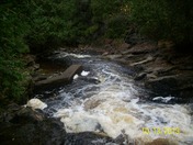 Seguin Rapids off Hwy. 518 Orrville