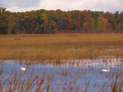 Sherburne National Wildlife Refuge