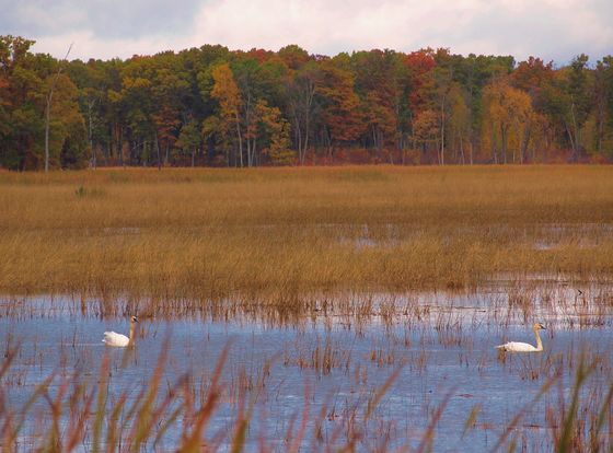 Sherburne National Wildlife Refuge