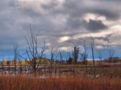 Sherburne National Wildlife Refuge