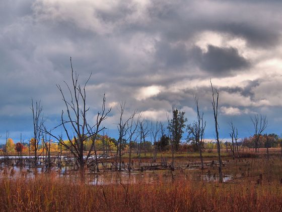 Sherburne National Wildlife Refuge