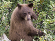 Rocky Mountain National Park