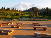 Mt. Rainier National Park