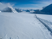 Denali National Park