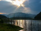 Gallatin National Forest