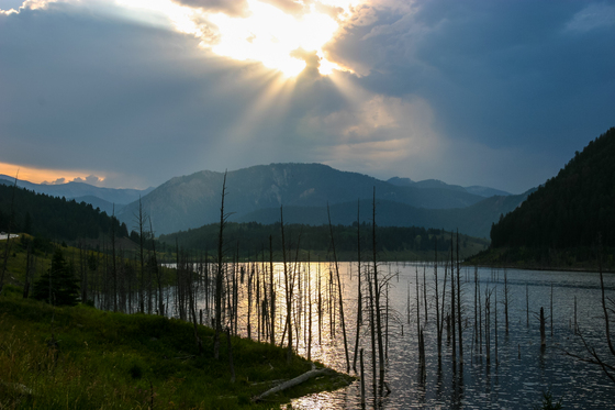 Gallatin National Forest