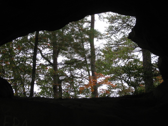 Daniel Boone National Forest