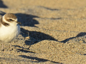 Channel Island National Park