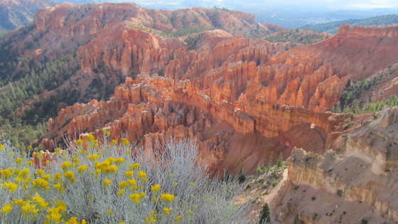 Zion National Park