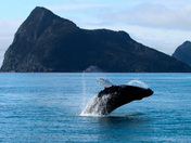 Alaska Maritime National Wildlife Refuge