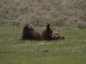Yellowstone National Park