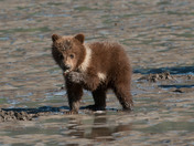 Lake Clark National Park