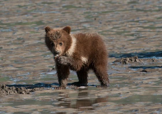 Lake Clark National Park