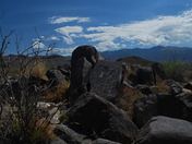 Three river petroglyph Site, NM