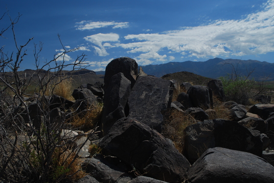 Three river petroglyph Site, NM